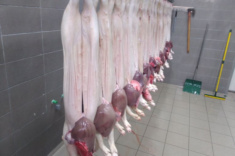 Izgled na&scaron;e klanice